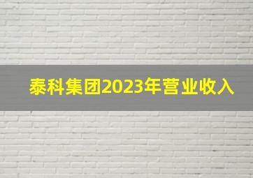 泰科集团2023年营业收入