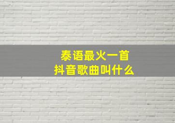 泰语最火一首抖音歌曲叫什么