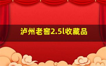 泸州老窖2.5l收藏品