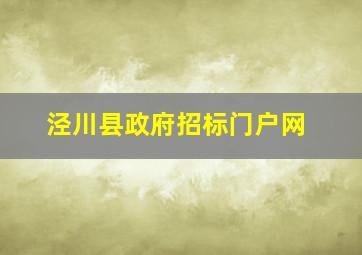 泾川县政府招标门户网