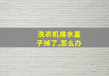 洗衣机排水盖子掉了,怎么办