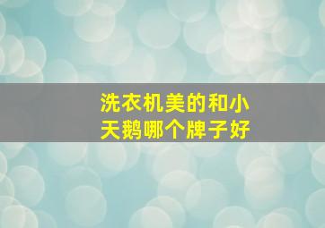 洗衣机美的和小天鹅哪个牌子好