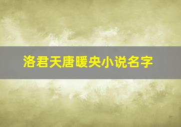 洛君天唐暖央小说名字