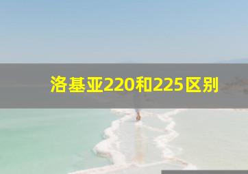 洛基亚220和225区别