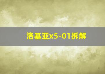 洛基亚x5-01拆解