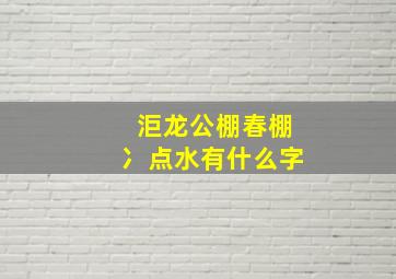 洰龙公棚春棚冫点水有什么字