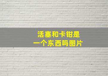 活塞和卡钳是一个东西吗图片