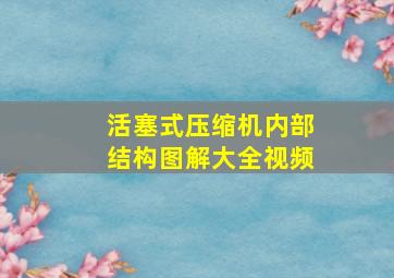 活塞式压缩机内部结构图解大全视频