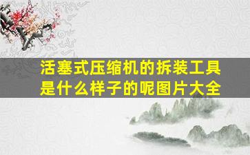 活塞式压缩机的拆装工具是什么样子的呢图片大全