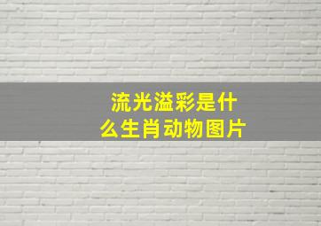 流光溢彩是什么生肖动物图片