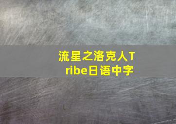 流星之洛克人Tribe日语中字