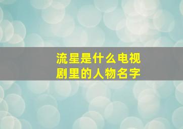 流星是什么电视剧里的人物名字