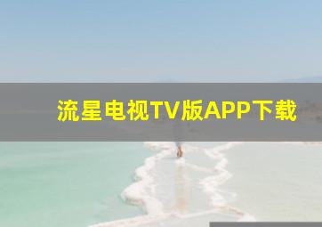 流星电视TV版APP下载