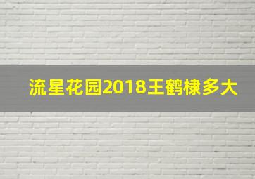 流星花园2018王鹤棣多大