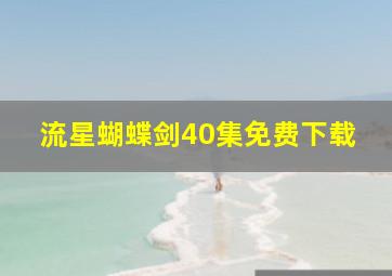 流星蝴蝶剑40集免费下载