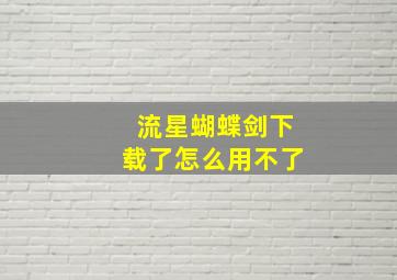 流星蝴蝶剑下载了怎么用不了