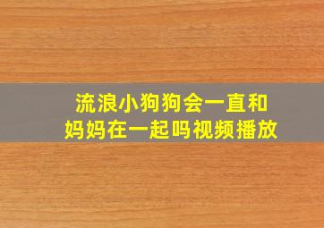 流浪小狗狗会一直和妈妈在一起吗视频播放