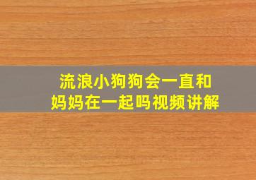 流浪小狗狗会一直和妈妈在一起吗视频讲解