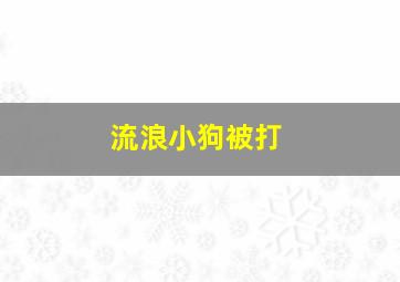 流浪小狗被打