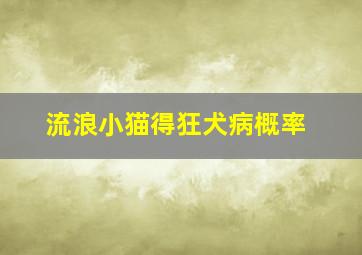 流浪小猫得狂犬病概率