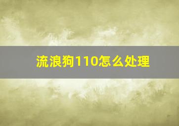 流浪狗110怎么处理