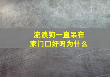 流浪狗一直呆在家门口好吗为什么