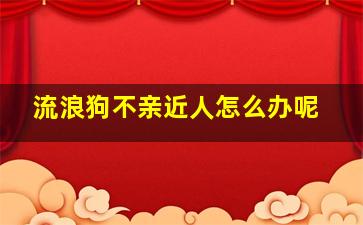 流浪狗不亲近人怎么办呢