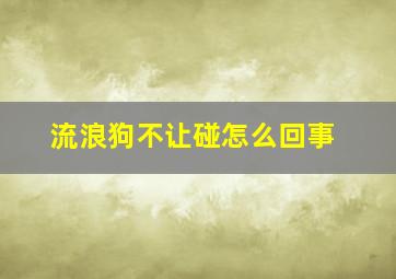 流浪狗不让碰怎么回事