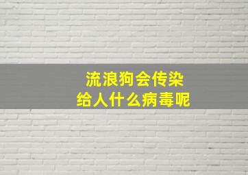 流浪狗会传染给人什么病毒呢