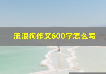 流浪狗作文600字怎么写