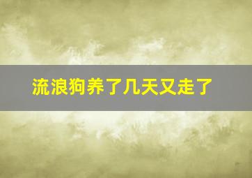 流浪狗养了几天又走了