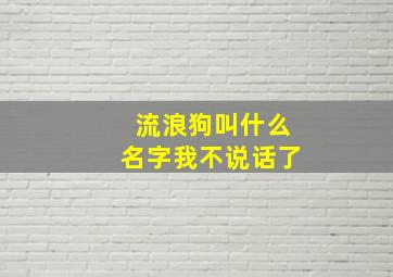 流浪狗叫什么名字我不说话了