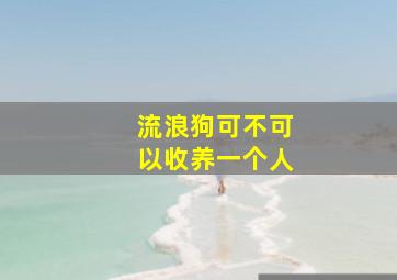 流浪狗可不可以收养一个人