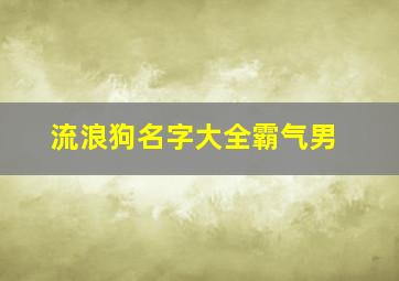 流浪狗名字大全霸气男