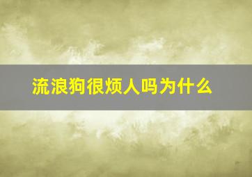 流浪狗很烦人吗为什么