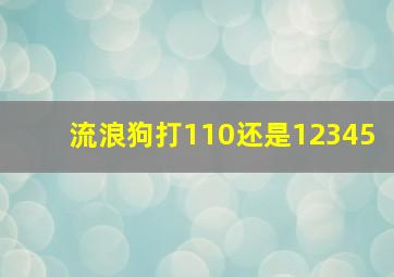 流浪狗打110还是12345