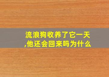 流浪狗收养了它一天,他还会回来吗为什么