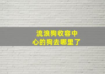 流浪狗收容中心的狗去哪里了