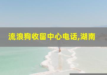 流浪狗收留中心电话,湖南