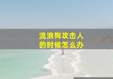 流浪狗攻击人的时候怎么办