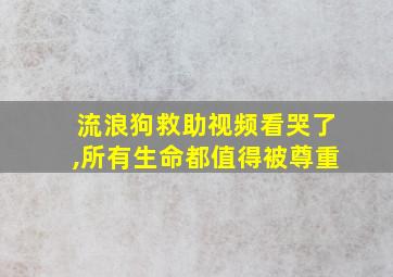 流浪狗救助视频看哭了,所有生命都值得被尊重