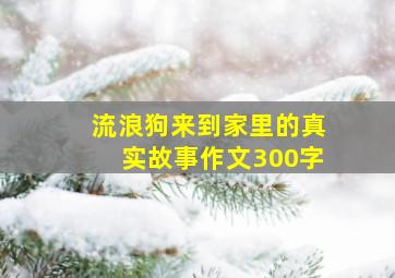 流浪狗来到家里的真实故事作文300字