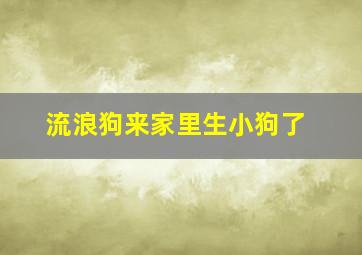 流浪狗来家里生小狗了