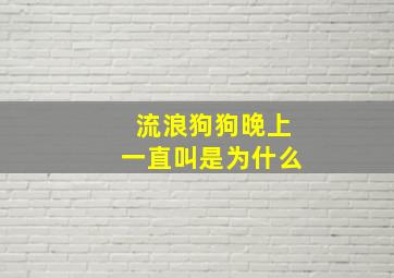 流浪狗狗晚上一直叫是为什么