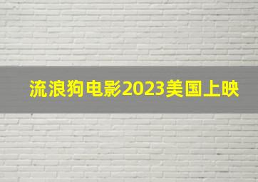 流浪狗电影2023美国上映