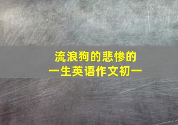 流浪狗的悲惨的一生英语作文初一