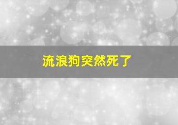 流浪狗突然死了