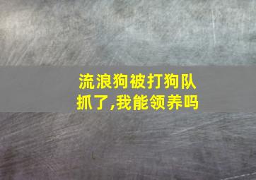 流浪狗被打狗队抓了,我能领养吗