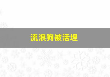 流浪狗被活埋