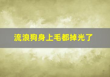 流浪狗身上毛都掉光了